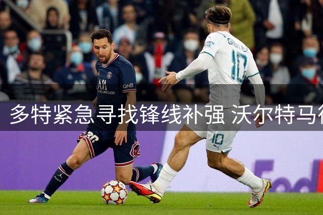 多特紧急寻找锋线补强 沃尔特马德成潜在目标
